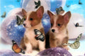 Poster relief 3D/petits chiens et papillons