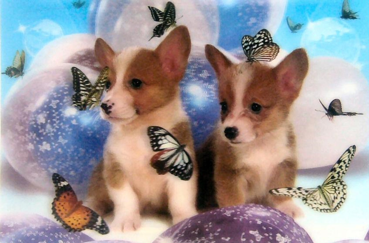 Poster relief 3D/petits chiens et papillons