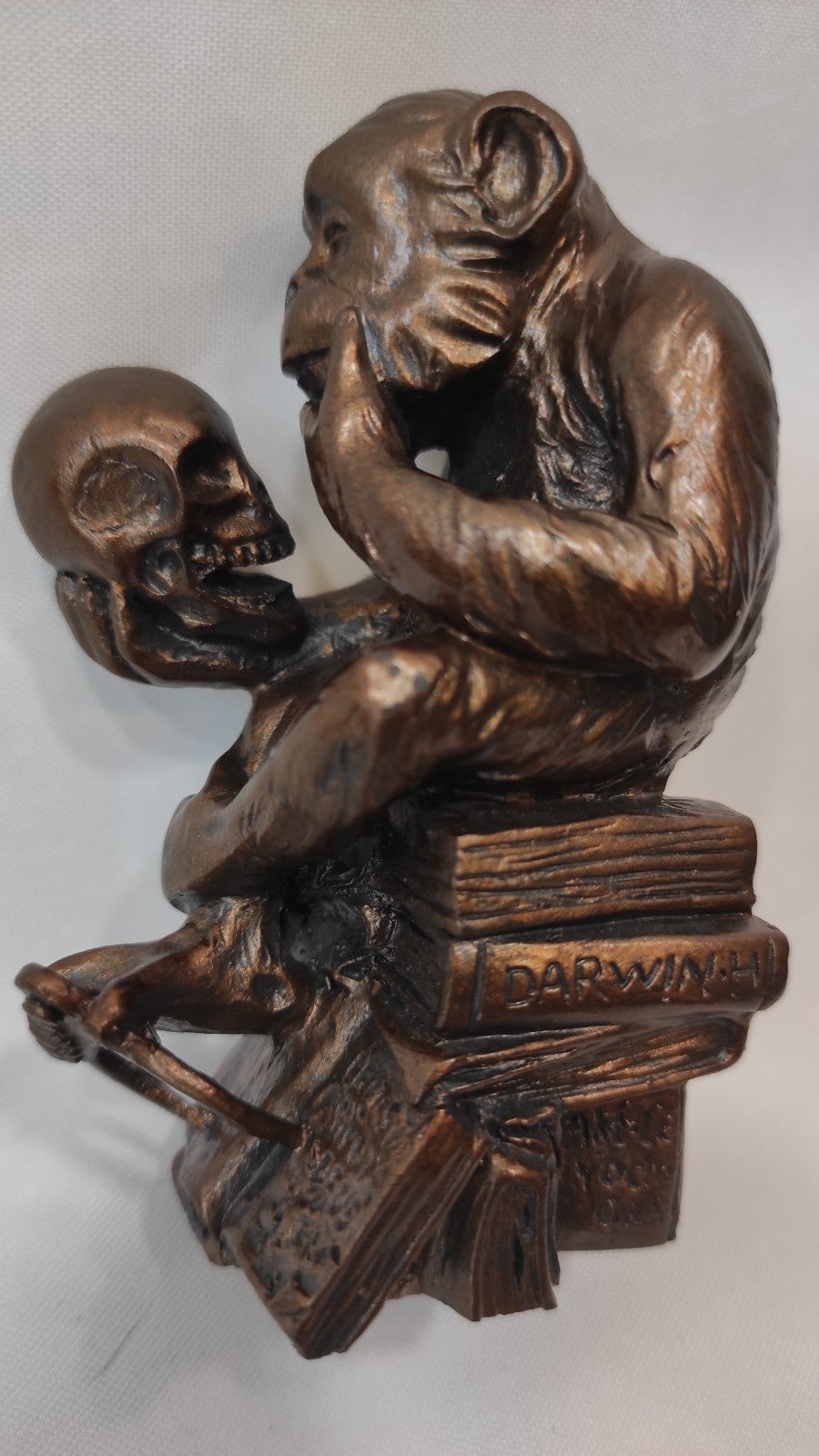 Miniature LE SINGE DE RHEINHOLD/ORIGINE DES ESPECES DE DARWIN