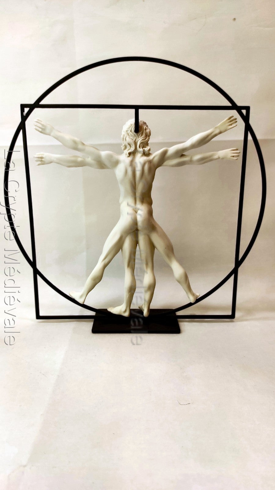 L'HOMME DE VITRUVE COULEUR MARBRE/LEONARD DE VINCI/ART