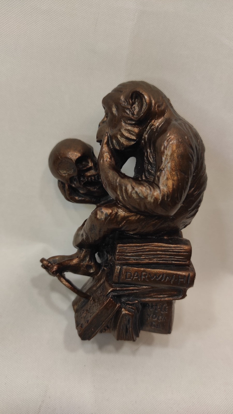 Miniature LE SINGE DE RHEINHOLD/ORIGINE DES ESPECES DE DARWIN