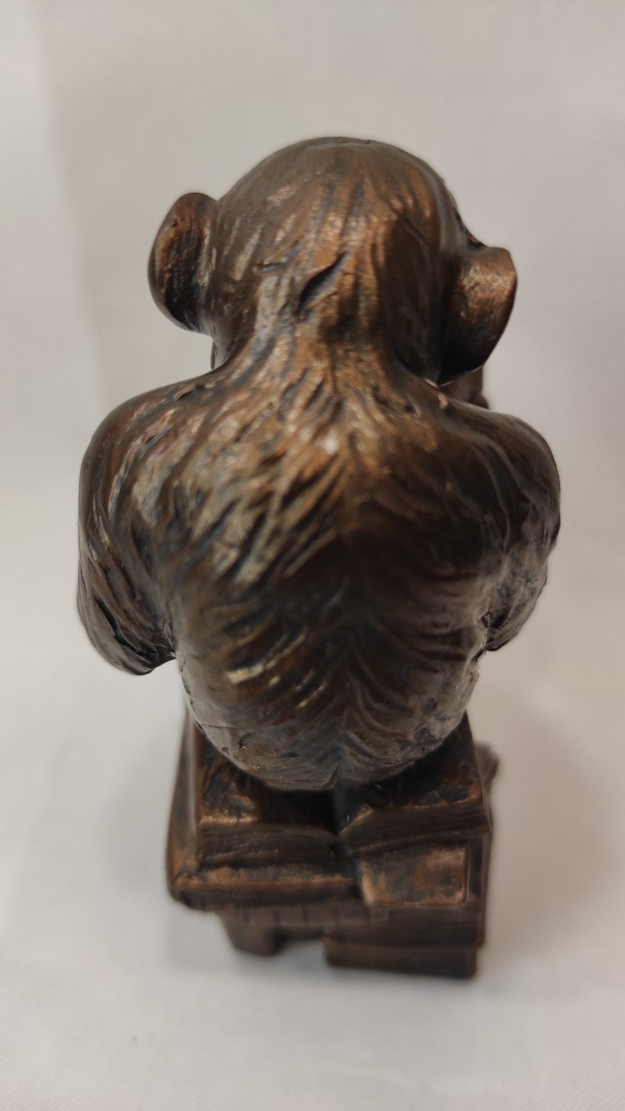 Miniature LE SINGE DE RHEINHOLD/ORIGINE DES ESPECES DE DARWIN