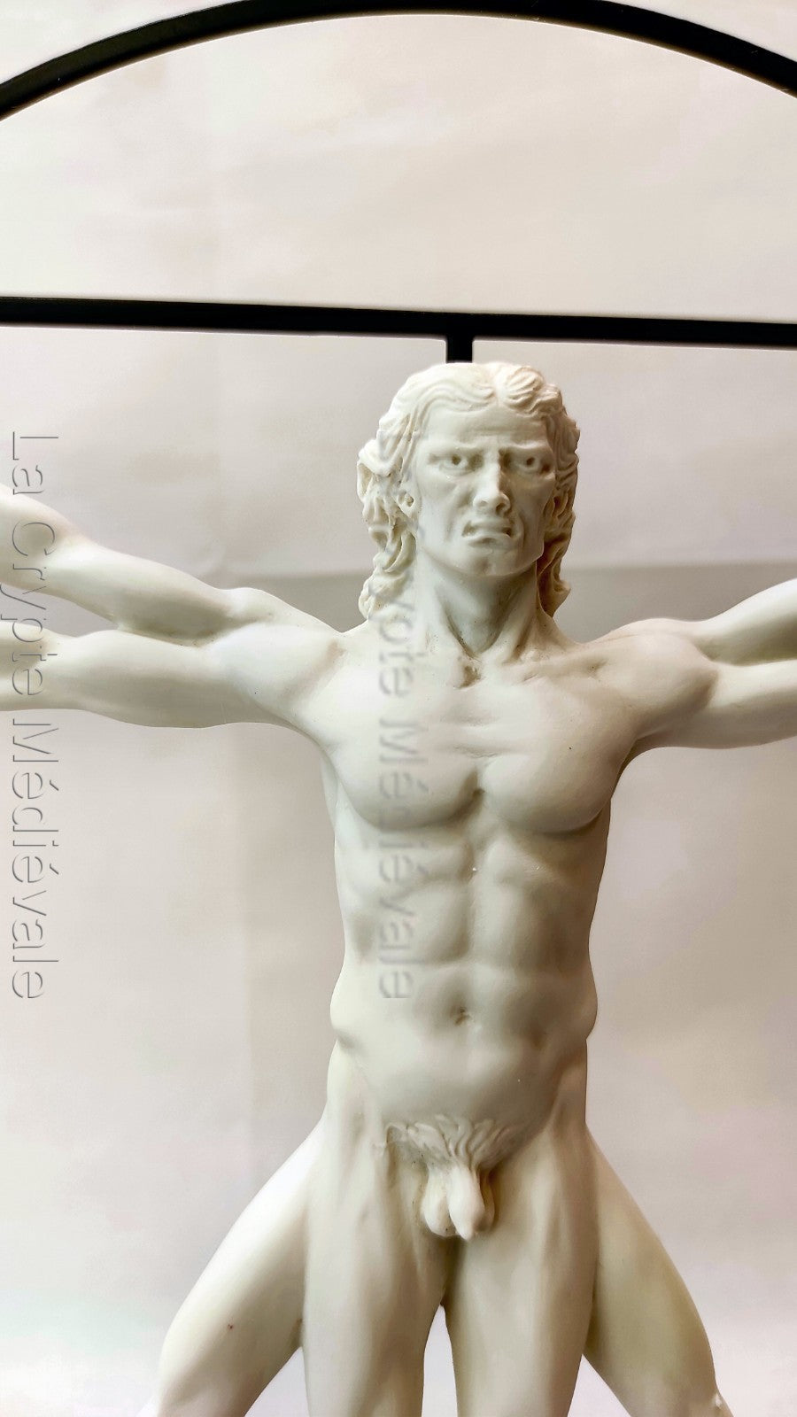 L'HOMME DE VITRUVE COULEUR MARBRE/LEONARD DE VINCI/ART