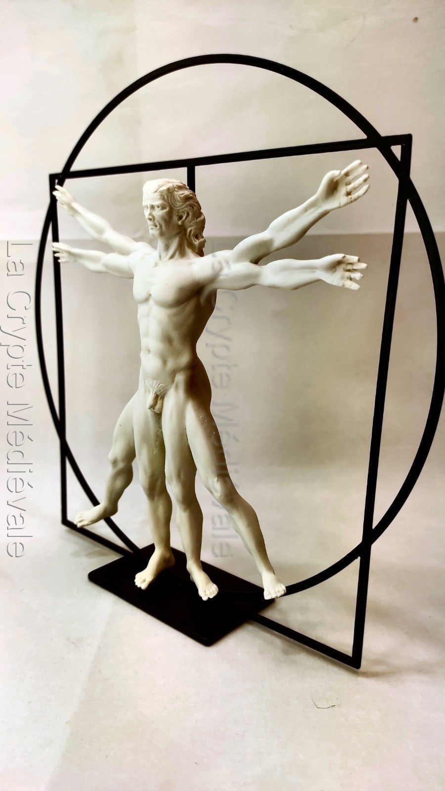 L'HOMME DE VITRUVE COULEUR MARBRE/LEONARD DE VINCI/ART