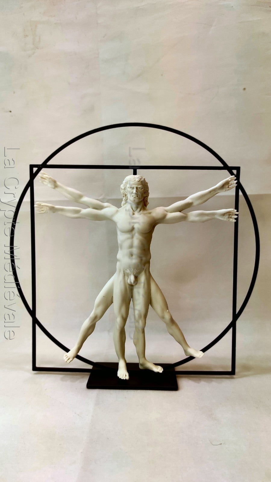 L'HOMME DE VITRUVE COULEUR MARBRE/LEONARD DE VINCI/ART