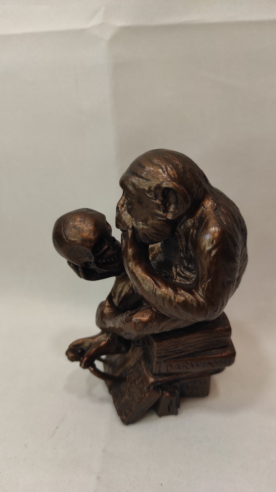 Miniature LE SINGE DE RHEINHOLD/ORIGINE DES ESPECES DE DARWIN